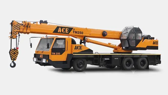 ACE TM 250 ACE TM 250